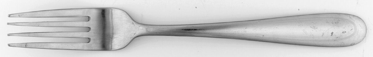 Springwater (Stainless) Fork by Pfaltzgraff-1