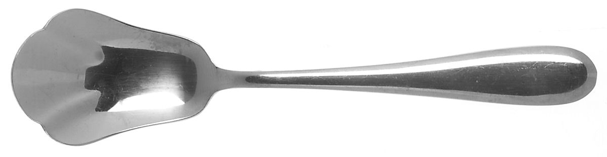 Springwater (Stainless) Sugar Shell Spoon by Pfaltzgraff-1