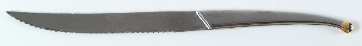 PII5 (Stainless) Large Stainless Blade Roast Carving Knife by Pier 1-1