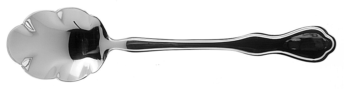 Weldon (Stainless) Sugar Shell Spoon by Pfaltzgraff-1
