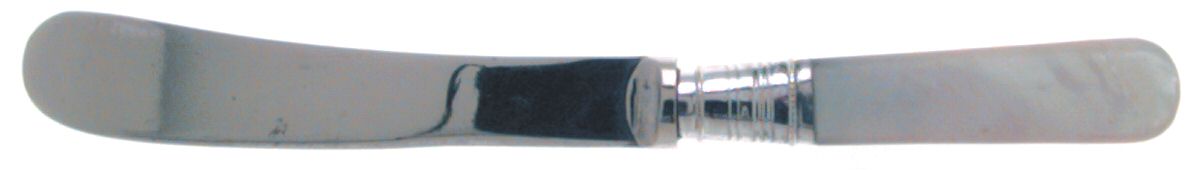 Flatware (Plated Bolster) Hollow Handle Paddle Butter Spreader (Slvpt) by Pearl Handle-1