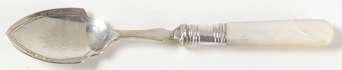 Flatware (Plated Bolster) Ice Cream Spoon Individual by Pearl Handle-1