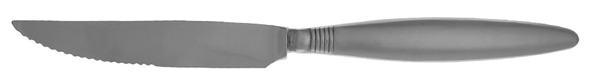 Satin Raleigh (Stainless) Steak Knife Individual Hollow, Serrate HC by Pfaltzgraff-1