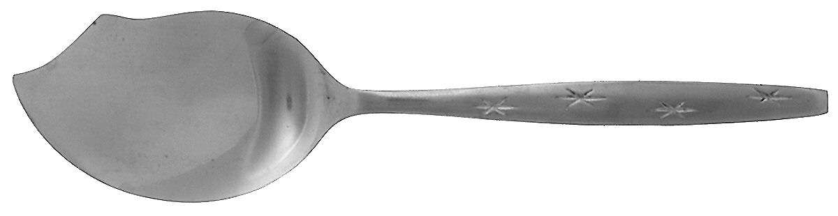 PTC5 (STAINLESS) Large Solid Jelly Server by Present-1