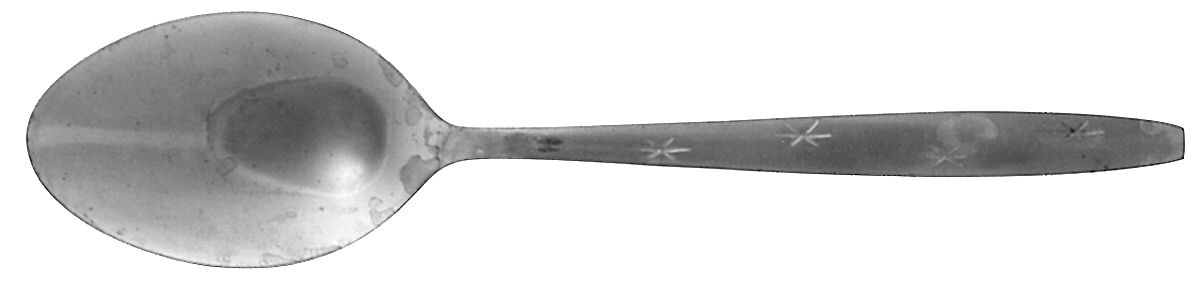 PTC5 (STAINLESS) Tablespoon (Serving Spoon) by Present-1