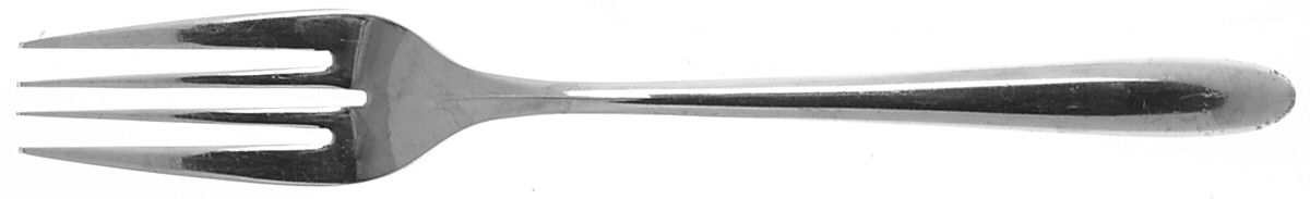 Audrey (Stainless) Individual Salad Fork by Pottery Barn-1