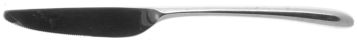 Audrey (Stainless) New French Solid Knife by Pottery Barn-1