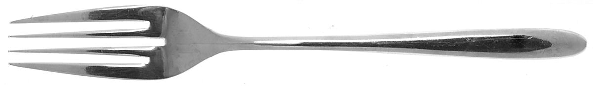 Audrey (Stainless) Fork by Pottery Barn-1