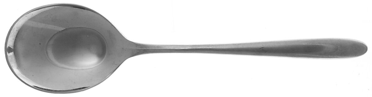 Audrey (Stainless) Solid Serving Spoon by Pottery Barn-1