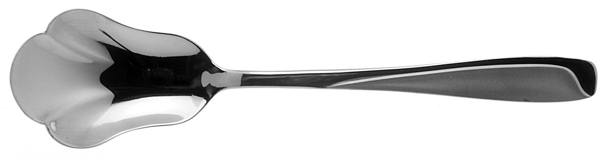 Satin Newtown (Stainless) Sugar Shell Spoon by Pfaltzgraff-1