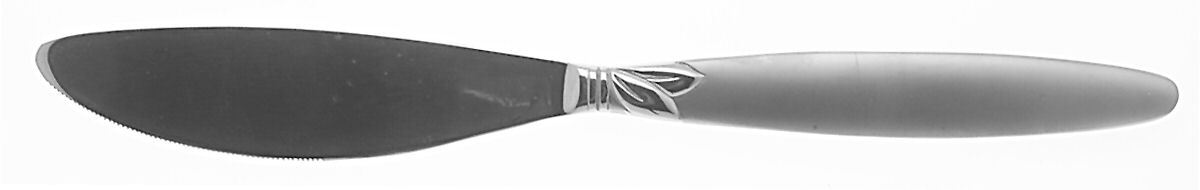 Satin Laurel (Stainless) Modern Solid Knife by Pfaltzgraff-1