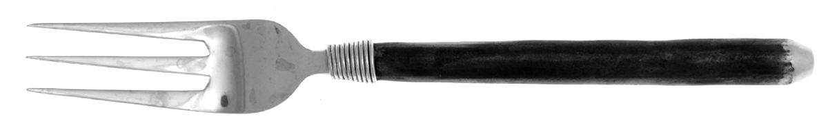 Masai (Stainless) Individual Salad Fork by Pottery Barn-1