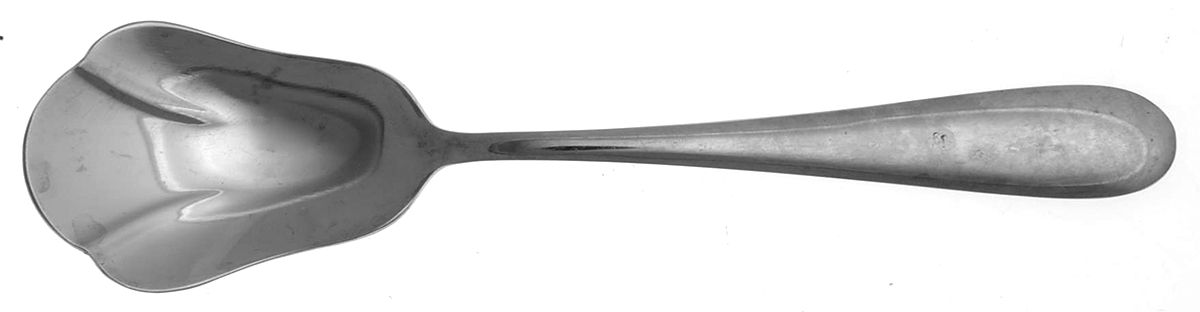 Essence (Stainless) Sugar Shell Spoon by Pfaltzgraff-1