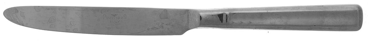 Leonardo (Stainless) New French Solid Knife by Pintinox-1