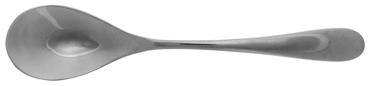Sonya (Stainless, 18-0) Place/Oval Soup Spoon by Pfaltzgraff-1