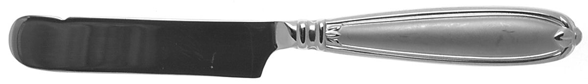 Barrington (Stainless) Hollow Handle Master Butter Knife by Princess House-1