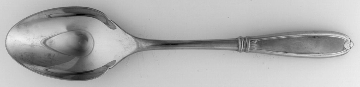 Barrington (Stainless) Large Solid Serving Spoon by Princess House-1