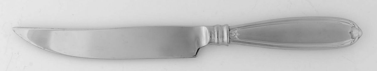 Barrington (Stainless) Individual Steak Knife Hollow Handle Serrate Blade by Princess House-1