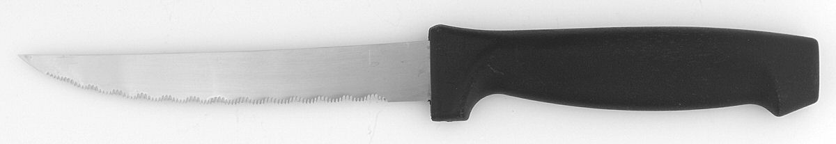 Pearl (Stainless) Plastic Handle Individual Steak Knife by Pfaltzgraff-1