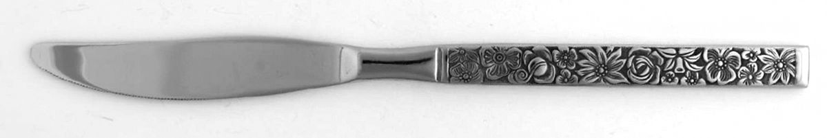 Florentine (Stainless) Modern Solid Knife by Present-1