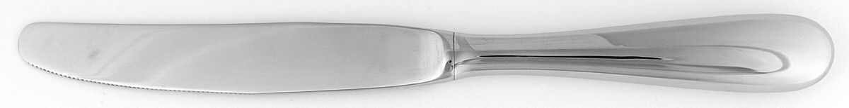 Savant (Stainless) Modern Hollow Knife by Pottery Barn-1