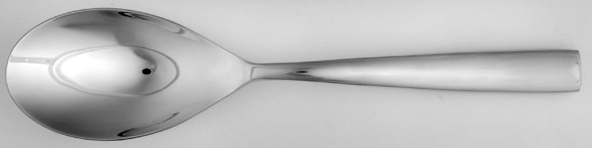 Collins (Stainless) Solid Serving Spoon by Pottery Barn-1