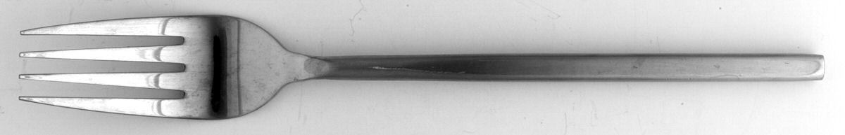 Satin Finish (Stainless) Fork by Pier 1-1