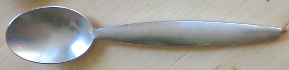 PBN22 (Stainless) Teaspoon by Pottery Barn-1