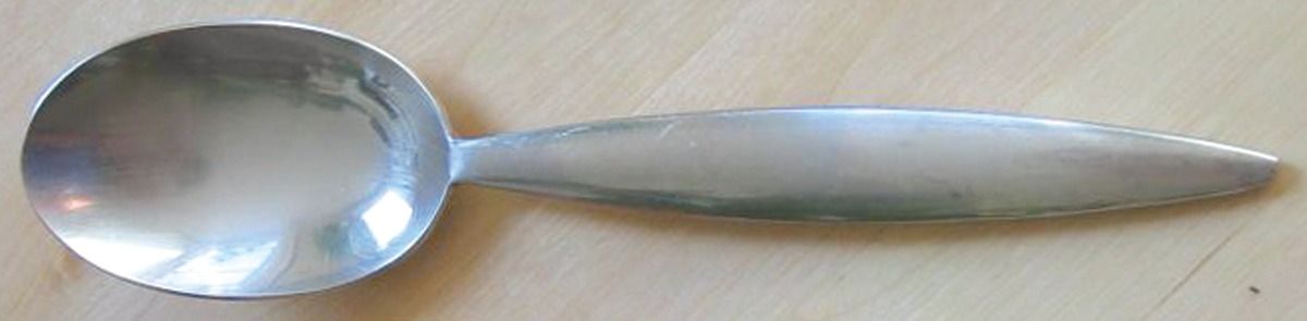 PBN22 (Stainless) Place/Oval Soup Spoon by Pottery Barn-1