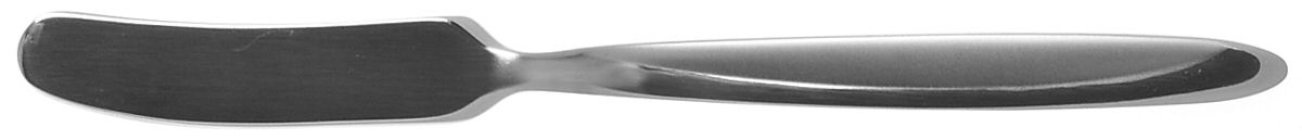 Evening Sun (Stainless) Flat Handle Master Butter Knife by Pfaltzgraff-1