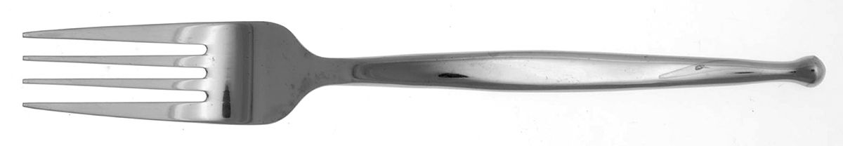 Radius (Stainless) Fork by Pfaltzgraff-1