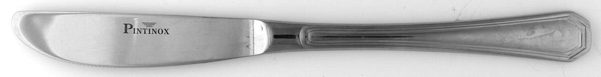 America (Stainless) Modern Solid Knife by Pintinox-1