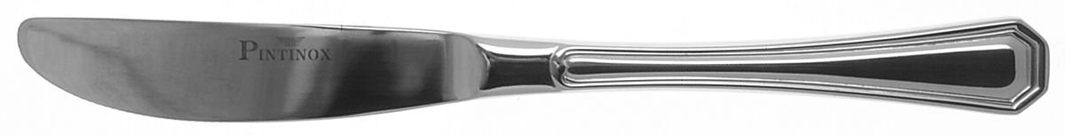 America (Stainless) Master Butter Spreader, Solid Piece by Pintinox-1