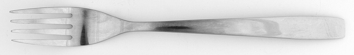 Plata (Stainless) Fork by Pier 1-1