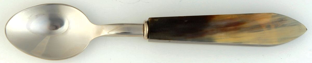 Horn (Stainless) Teaspoon by Pottery Barn-1