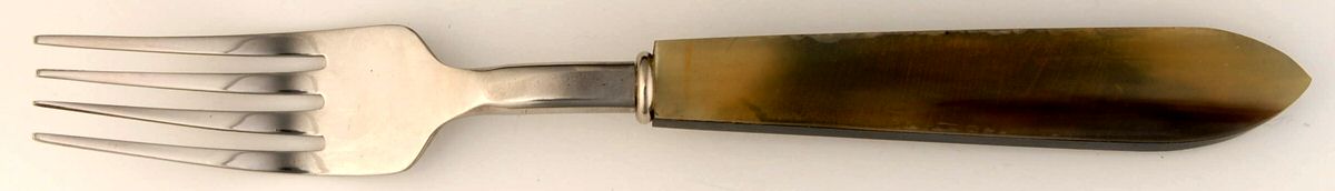 Horn (Stainless) Fork by Pottery Barn-1