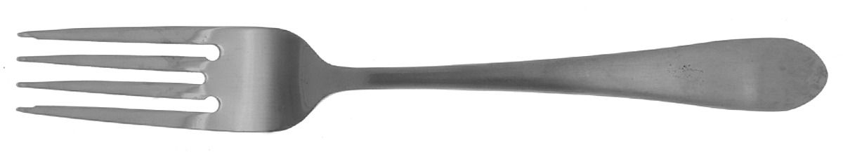 Salisbury Satin (Stainless) Fork by Pfaltzgraff-1
