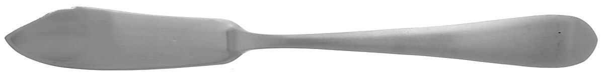 Salisbury Satin (Stainless) Flat Handle Master Butter Knife by Pfaltzgraff-1