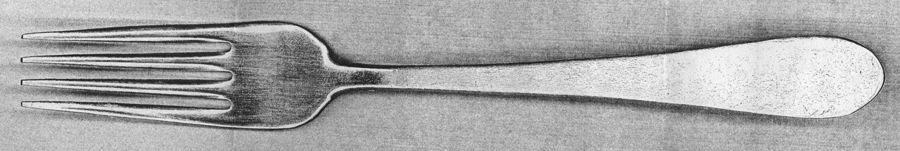 Salisbury Satin (Stainless) Fork by Pfaltzgraff-1