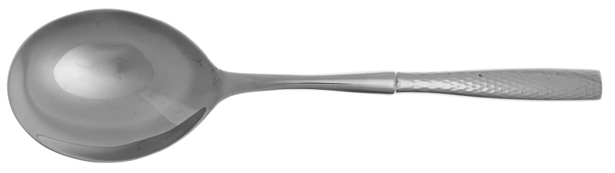 Shiny Hammered (Stainless) Casserole Spoon with Smooth Stainless Bowl HC by Pottery Barn-1