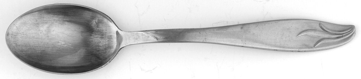 PTC12 (Stainless) Teaspoon by Present-1