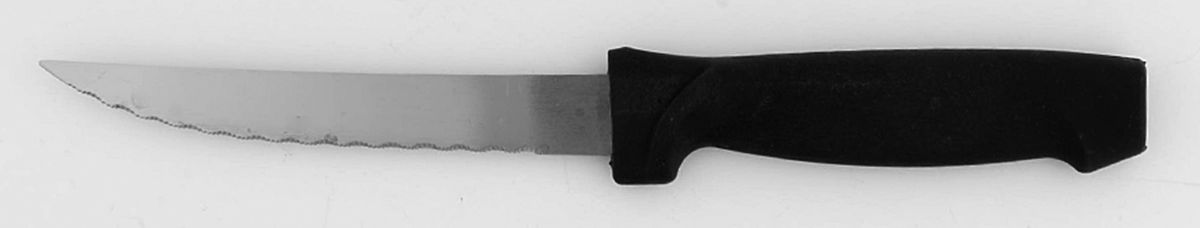 American Bead (Stainless) Plastic Handle Individual Steak Knife by Pfaltzgraff-1