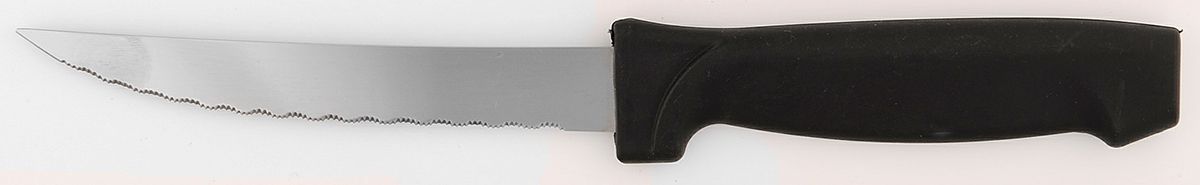 Palisades Frost (Stainless) Plastic Handle Individual Steak Knife by Pfaltzgraff-1