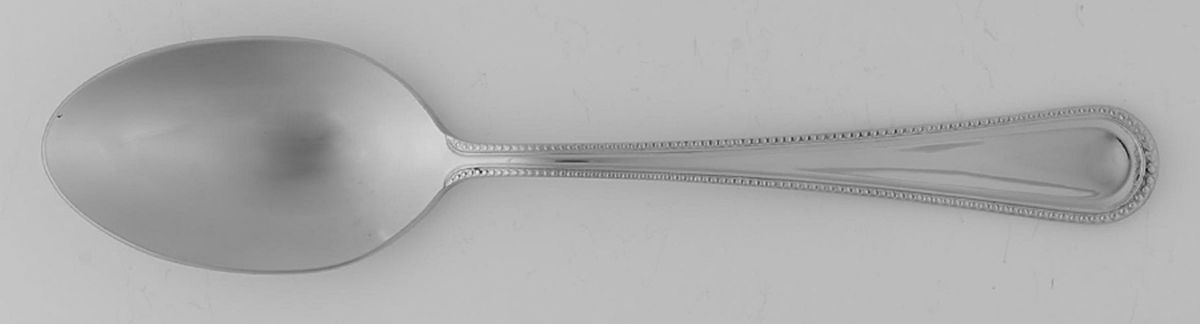 Adele Beaded (Stainless) Tablespoon (Serving Spoon) by Pottery Barn-1