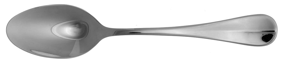Camryn (Stainless) Place/Oval Soup Spoon by Pottery Barn-1