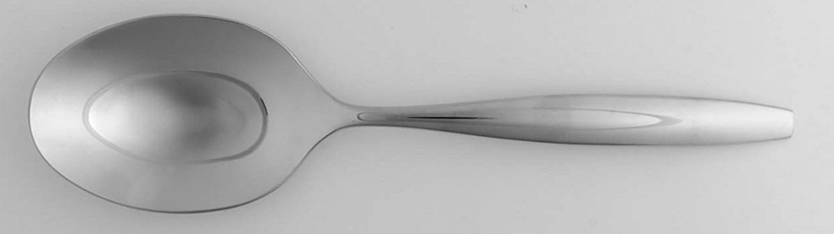 Arbor (Stainless) Tablespoon (Serving Spoon) by Portmeirion-1