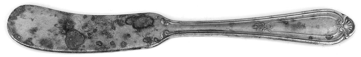 Corsican (Silverplate) Flat Handle Butter Spreader by Reed & Barton-1
