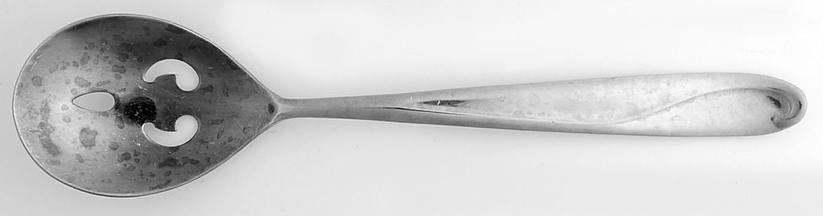 Edgartown (Stainless, Select) Pierced Tablespoon (Serving Spoon) by Reed & Barton-1
