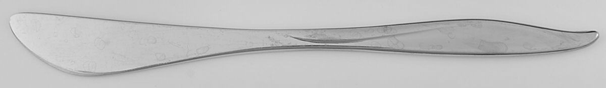 Evening Mood (Stainless) Flat Handle Butter Spreader by Reed & Barton-1