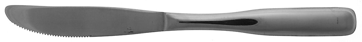 Fiddler II (Stainless) Modern Solid Knife by Reed & Barton-1